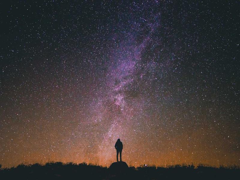 小王子<br>aamotnk.cn 玫瑰与狐狸